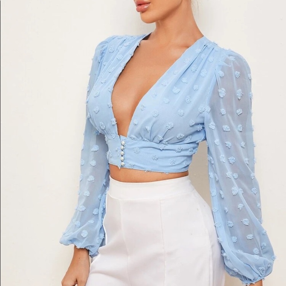 SHEIN Plunge Lantern Sleeve Blouse